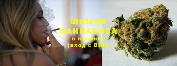 PSILOCYBIN Аркадак