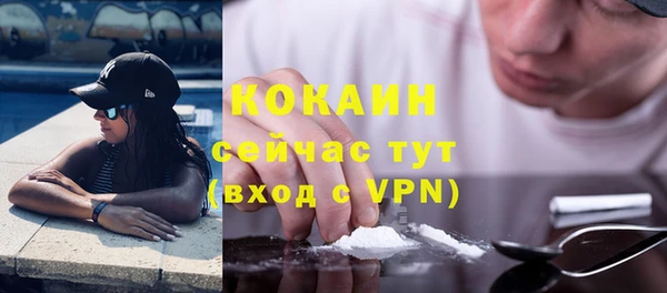 дурь Арсеньев
