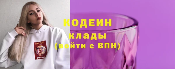 дурь Арсеньев