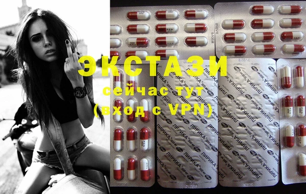 PSILOCYBIN Аркадак