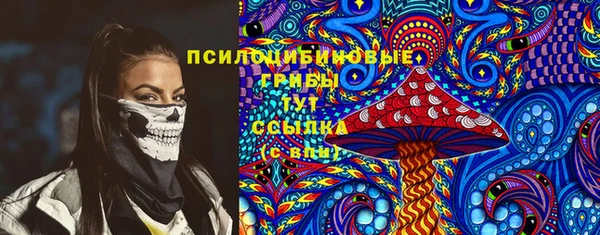 дурь Арсеньев