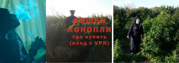 дурь Арсеньев